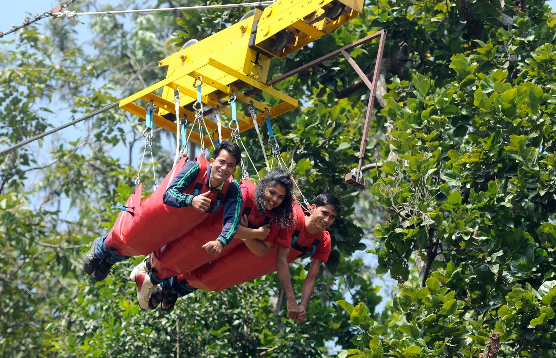 Flying Fox