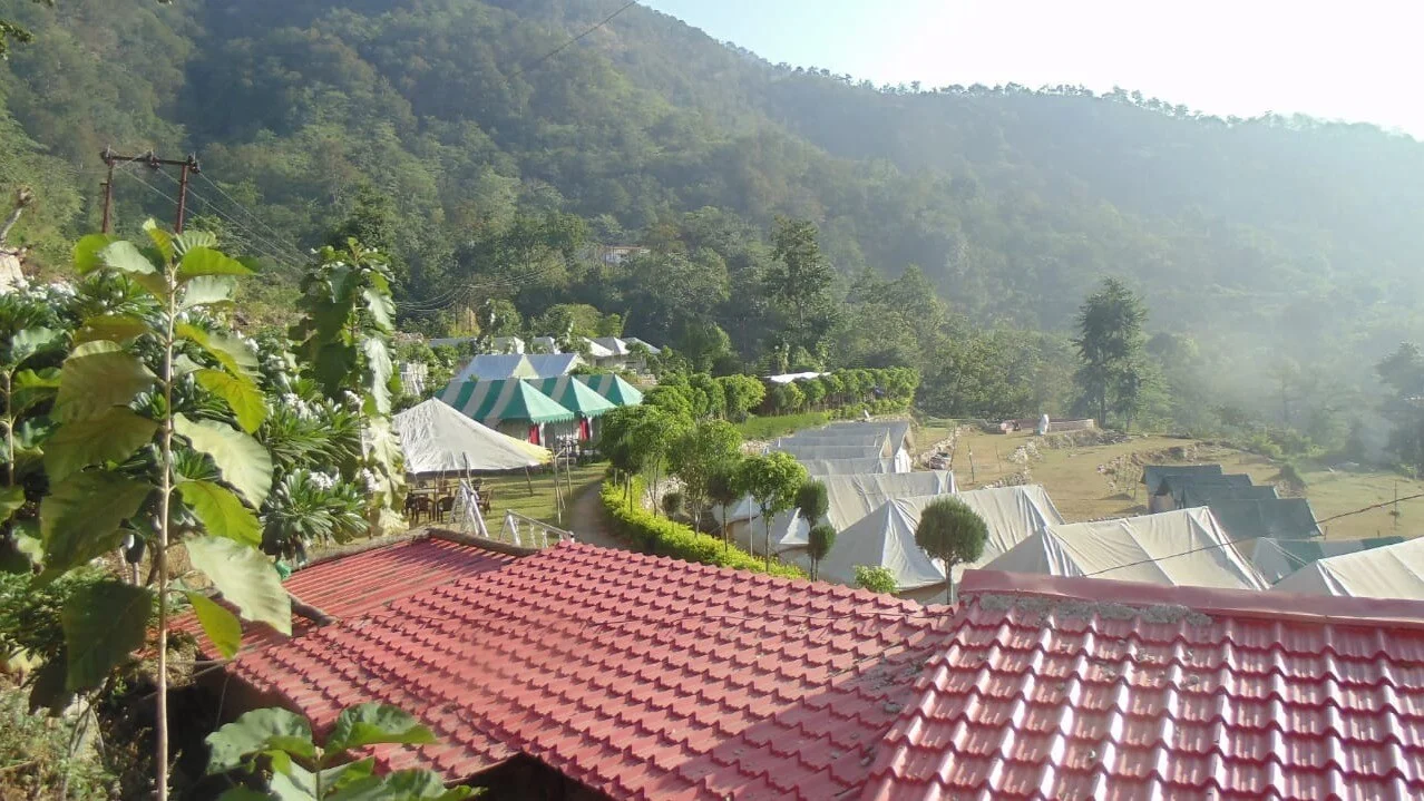 view