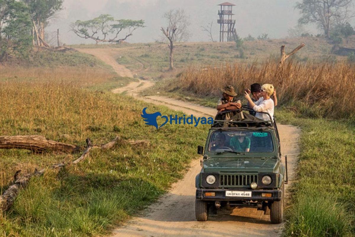 Rajaji National Park near Rishikesh with wildlife, forest landscapes and jeep safari experience