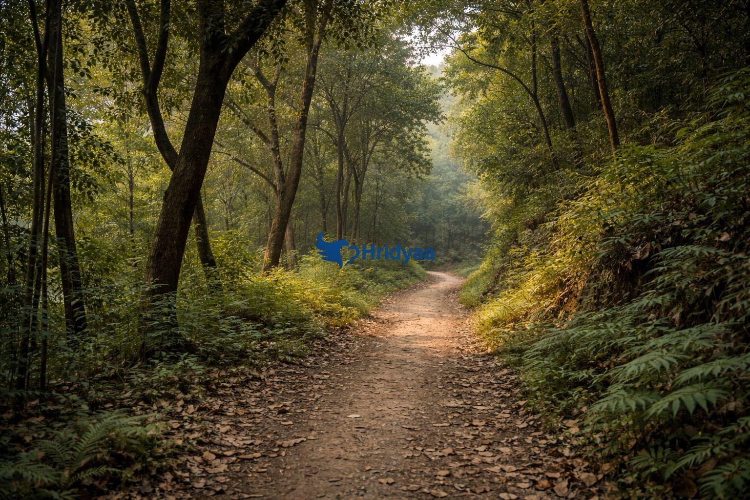 Lush greenery in Rishikesh during monsoon