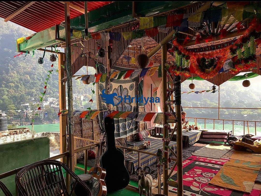 freedom cafe rishikesh overlooking ganga valley from height